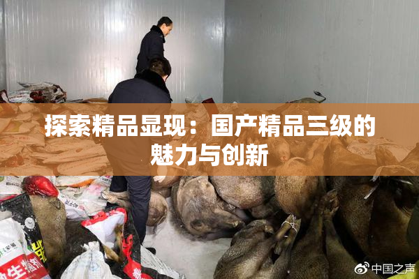 探索精品显现：国产精品三级的魅力与创新