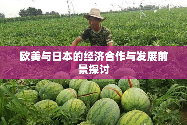 欧美与日本的经济合作与发展前景探讨