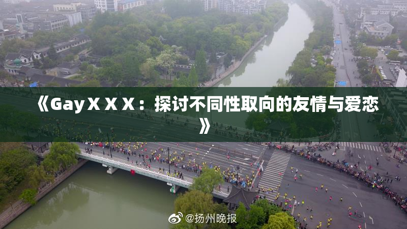 《GayⅩⅩⅩ：探讨不同性取向的友情与爱恋》