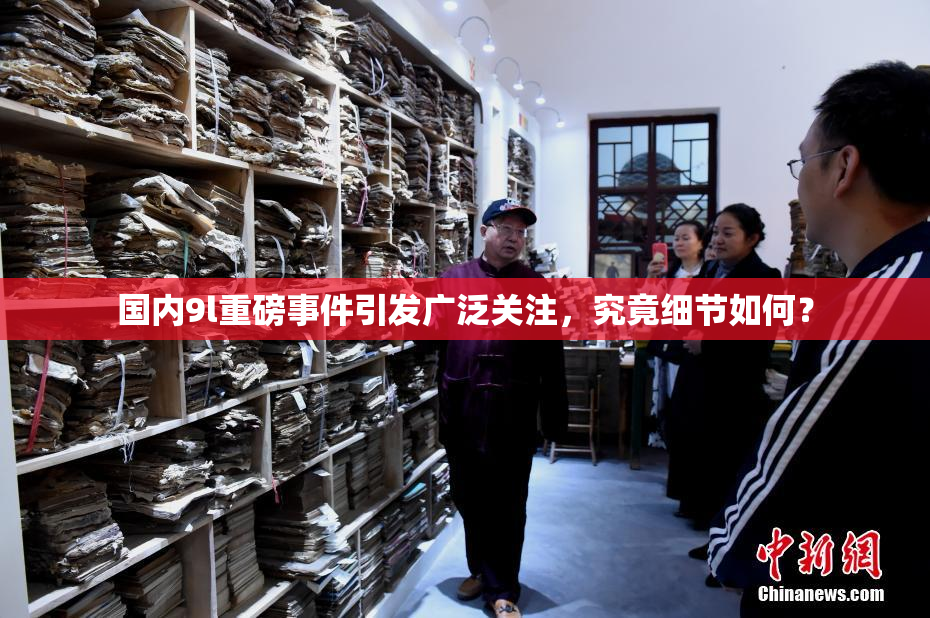 国内9l重磅事件引发广泛关注，究竟细节如何？