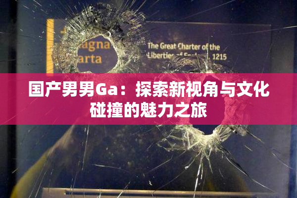 国产男男Ga：探索新视角与文化碰撞的魅力之旅