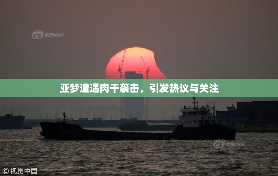 亚梦遭遇肉干袭击，引发热议与关注