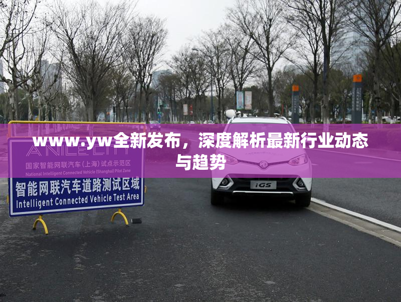 www.yw全新发布，深度解析最新行业动态与趋势