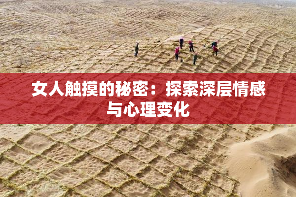 女人触摸的秘密：探索深层情感与心理变化