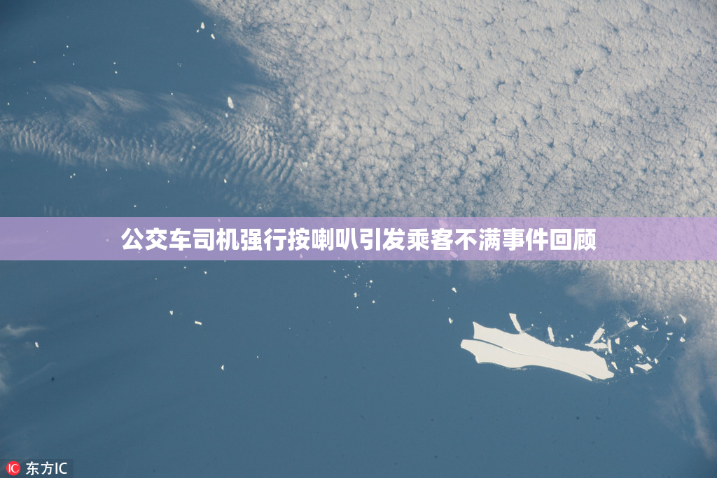 公交车司机强行按喇叭引发乘客不满事件回顾