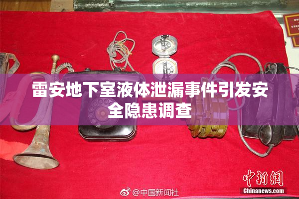 雷安地下室液体泄漏事件引发安全隐患调查