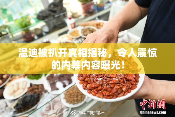 温迪被扒开真相揭秘，令人震惊的内幕内容曝光！