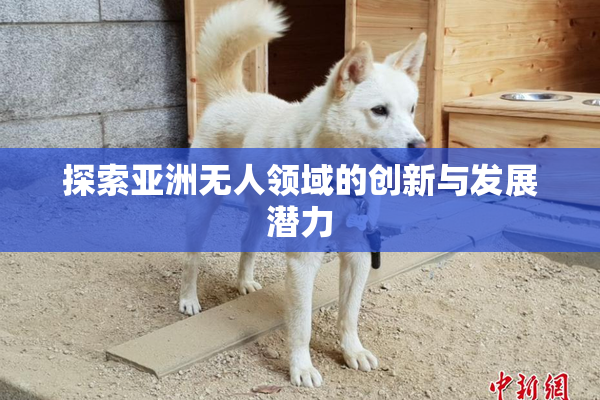 探索亚洲无人领域的创新与发展潜力