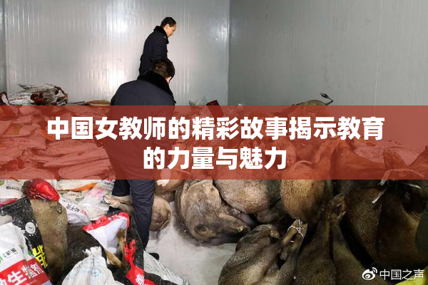 中国女教师的精彩故事揭示教育的力量与魅力