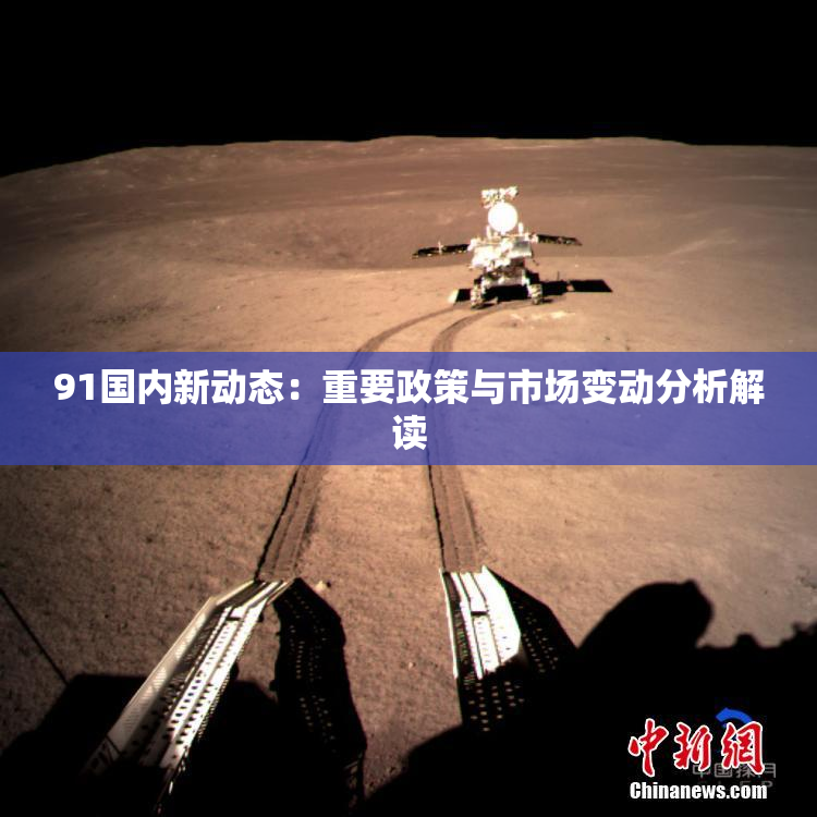 91国内新动态：重要政策与市场变动分析解读