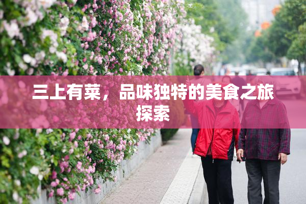 三上有菜，品味独特的美食之旅探索