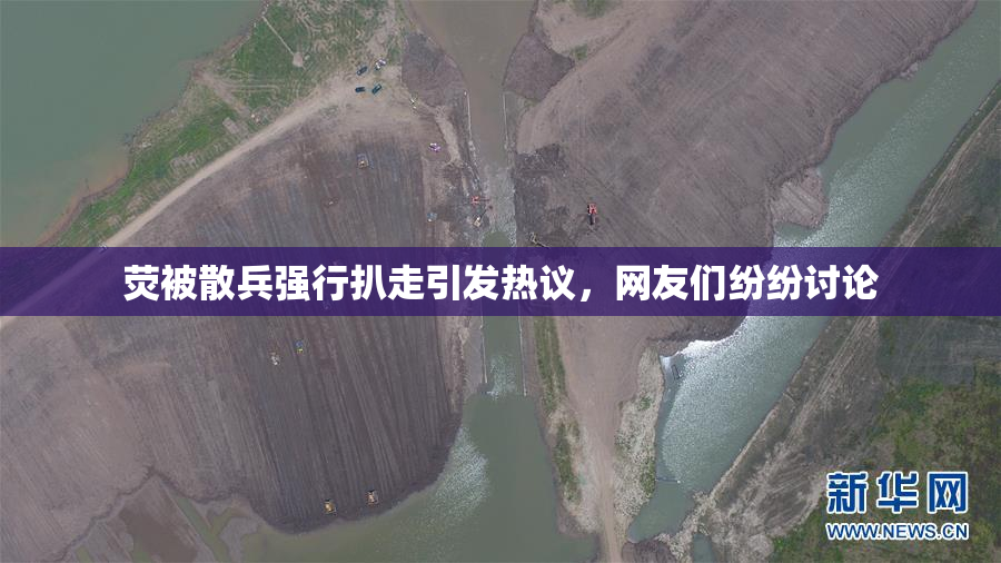荧被散兵强行扒走引发热议，网友们纷纷讨论