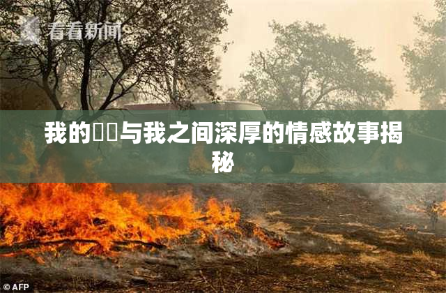 我的妺妺与我之间深厚的情感故事揭秘