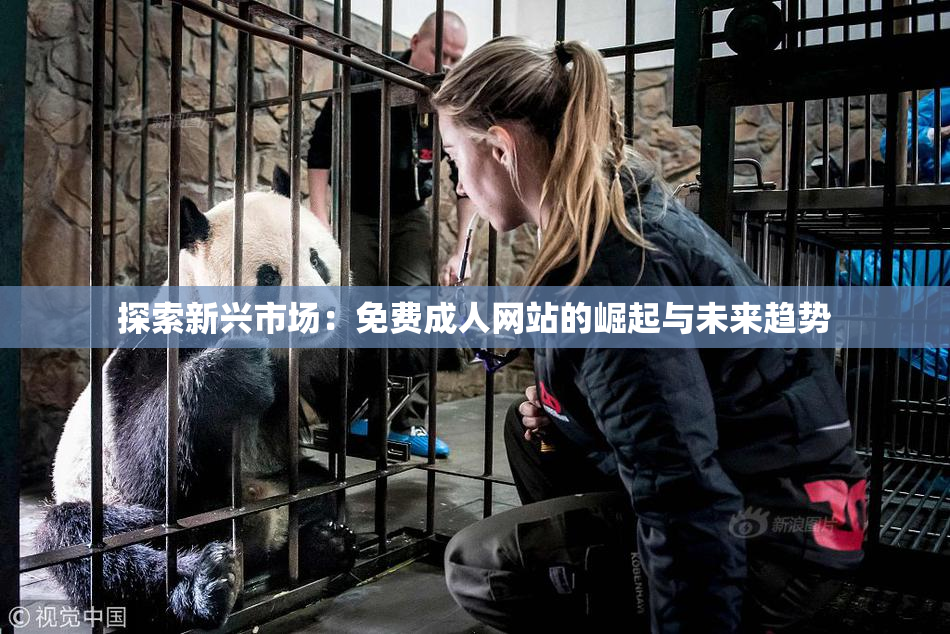 探索新兴市场：免费成人网站的崛起与未来趋势