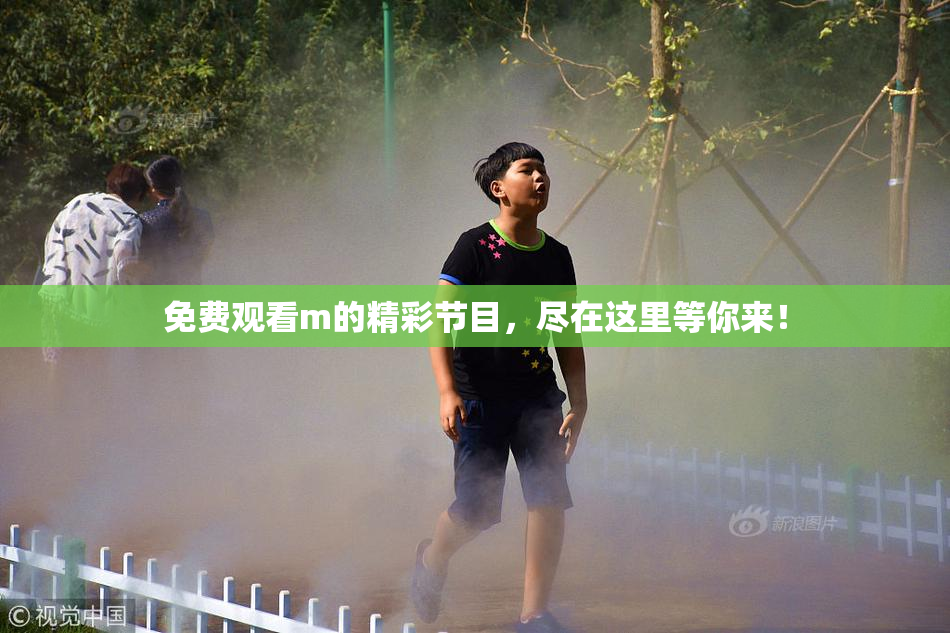 免费观看m的精彩节目，尽在这里等你来！