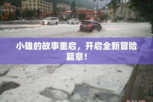 小雄的故事重启，开启全新冒险篇章！
