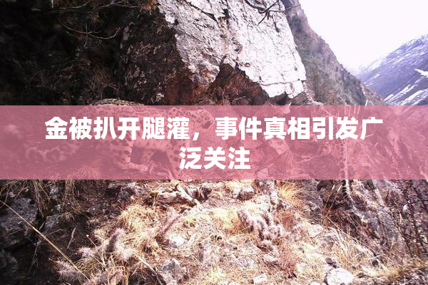 金被扒开腿灌，事件真相引发广泛关注