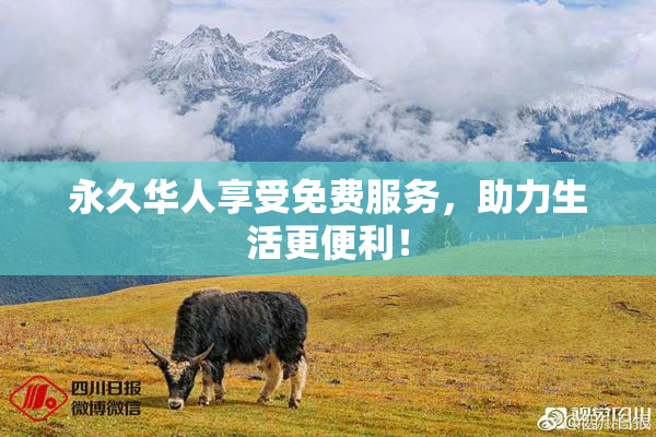 永久华人享受免费服务，助力生活更便利！