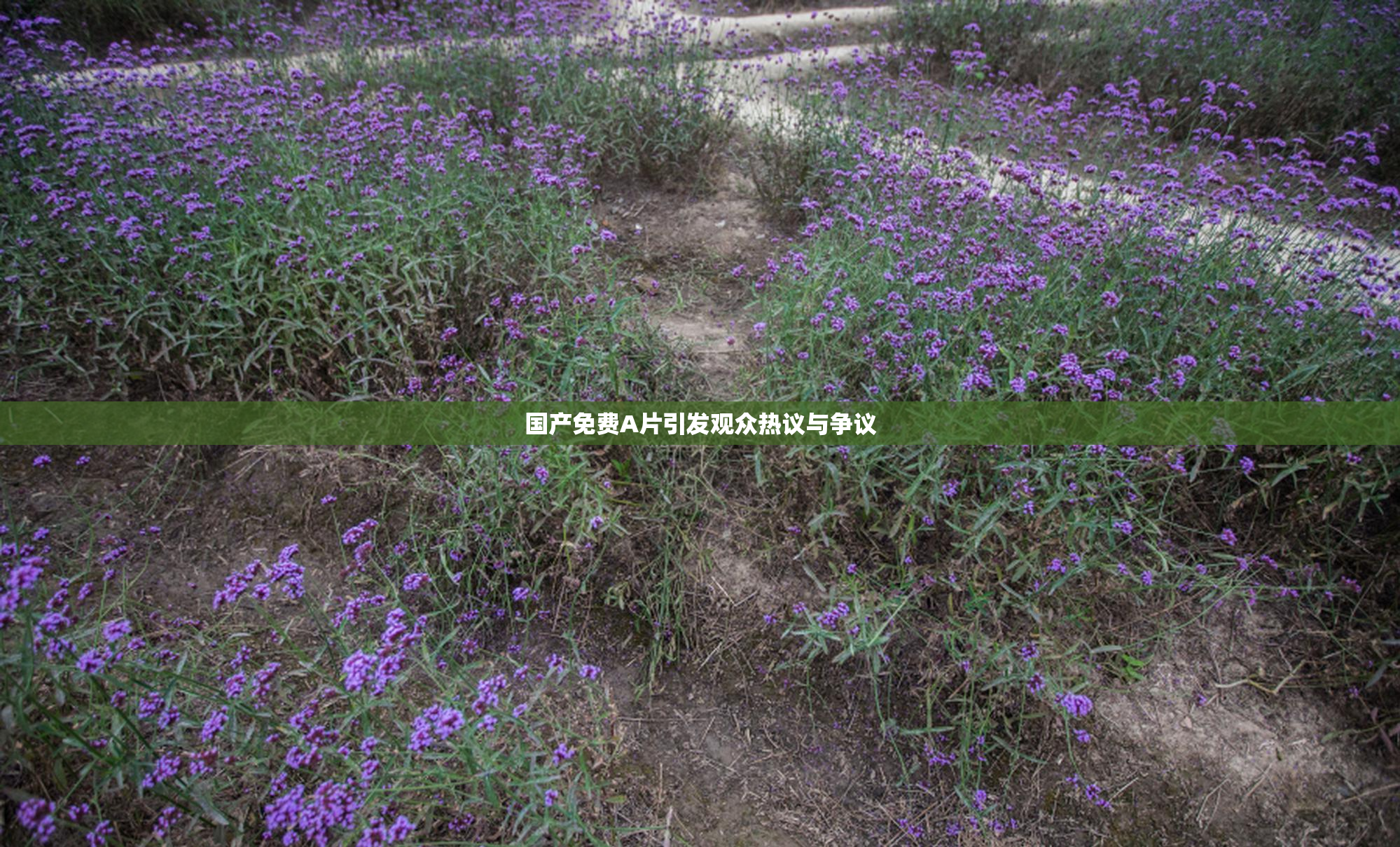国产免费A片引发观众热议与争议