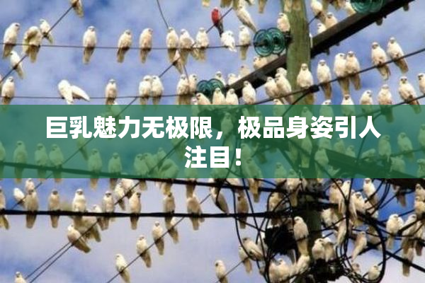 巨乳魅力无极限，极品身姿引人注目！