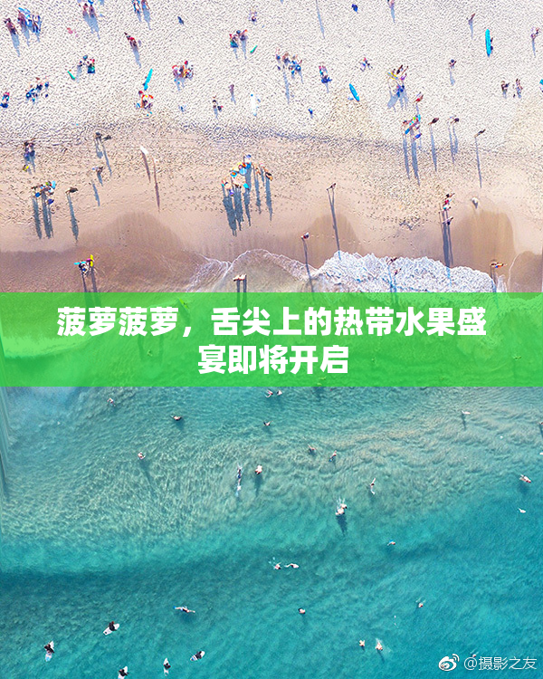 菠萝菠萝，舌尖上的热带水果盛宴即将开启