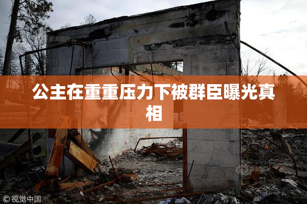 公主在重重压力下被群臣曝光真相