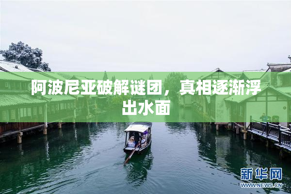 阿波尼亚破解谜团，真相逐渐浮出水面