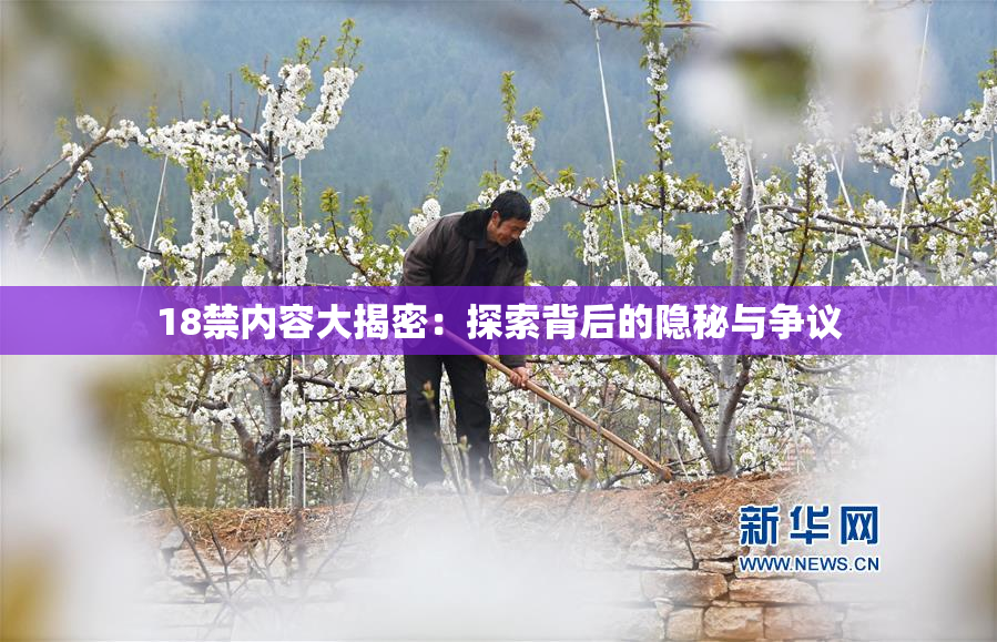 18禁内容大揭密：探索背后的隐秘与争议