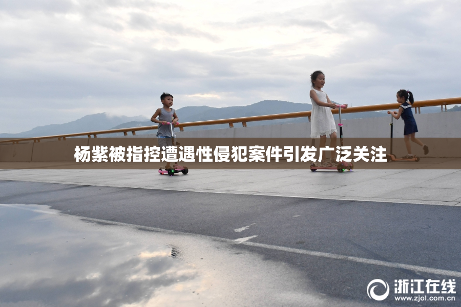 杨紫被指控遭遇性侵犯案件引发广泛关注