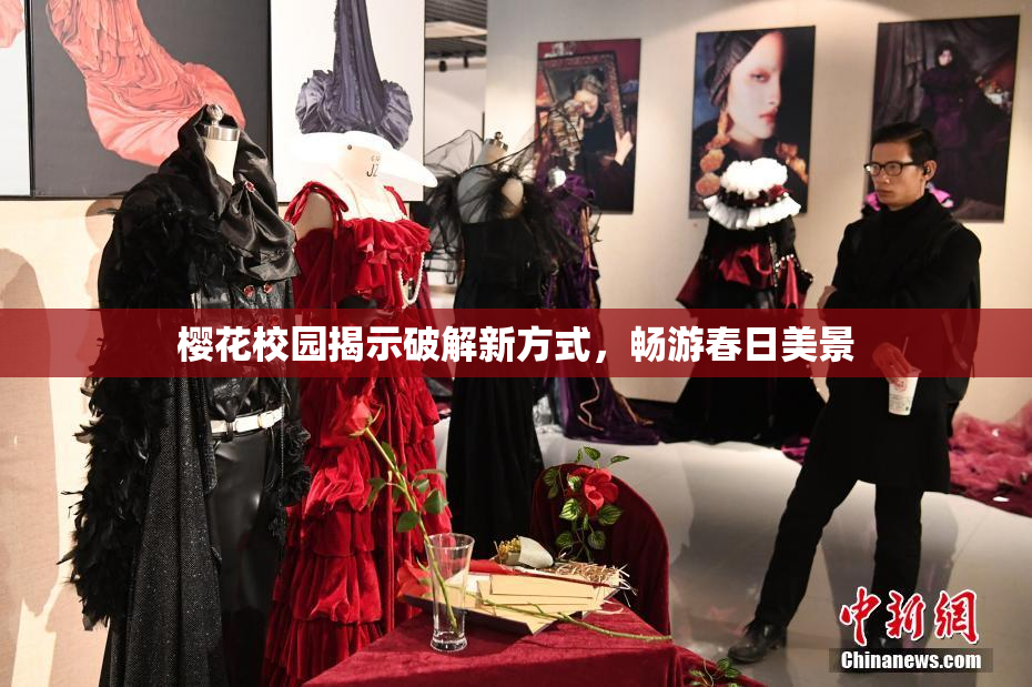 樱花校园揭示破解新方式，畅游春日美景