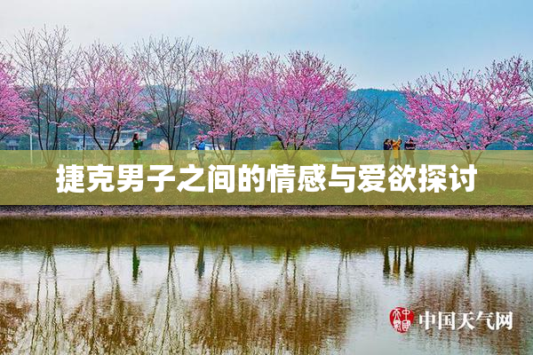 捷克男子之间的情感与爱欲探讨