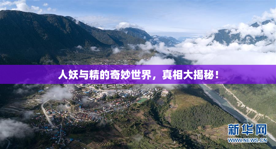人妖与精的奇妙世界，真相大揭秘！