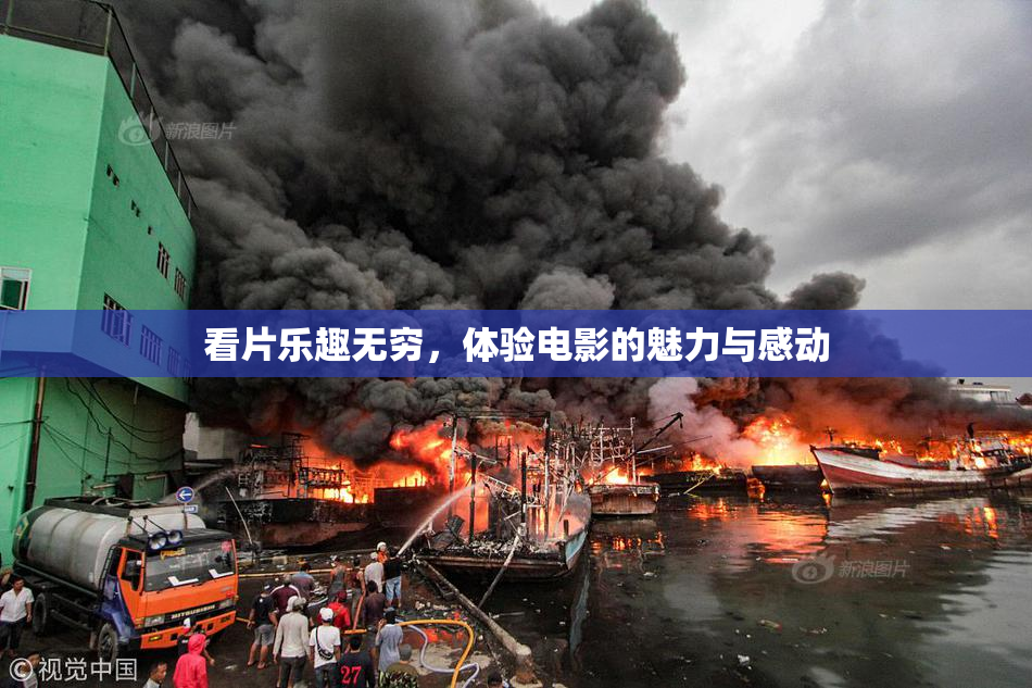 看片乐趣无穷，体验电影的魅力与感动