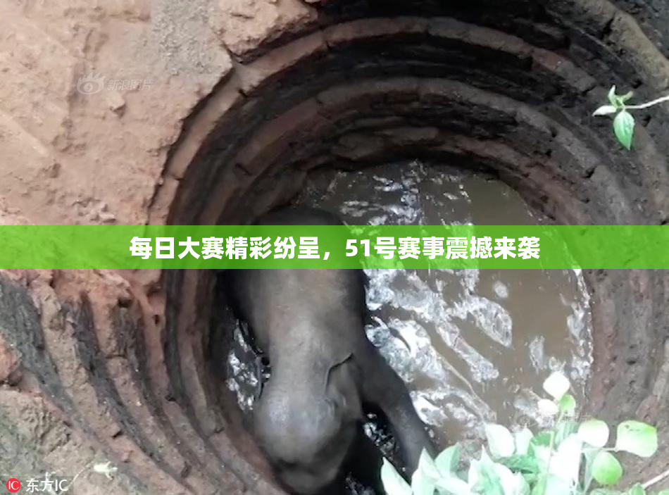 每日大赛精彩纷呈，51号赛事震撼来袭