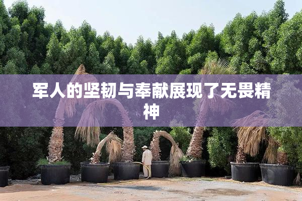 军人的坚韧与奉献展现了无畏精神