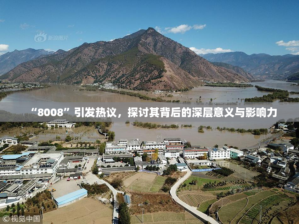 “8008”引发热议，探讨其背后的深层意义与影响力
