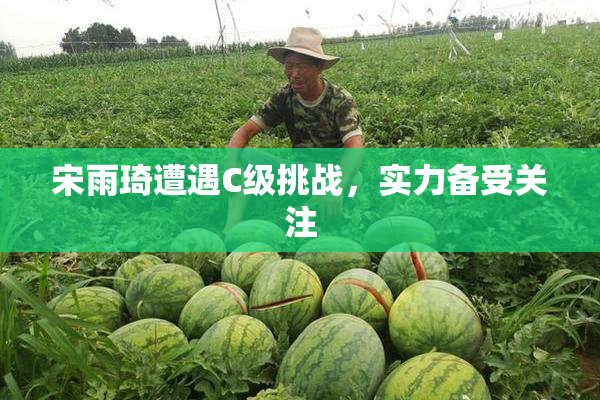 宋雨琦遭遇C级挑战，实力备受关注