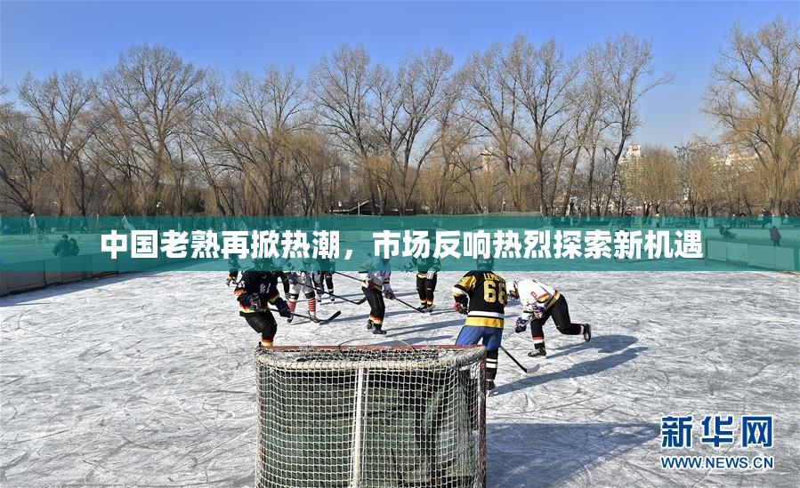 中国老熟再掀热潮，市场反响热烈探索新机遇