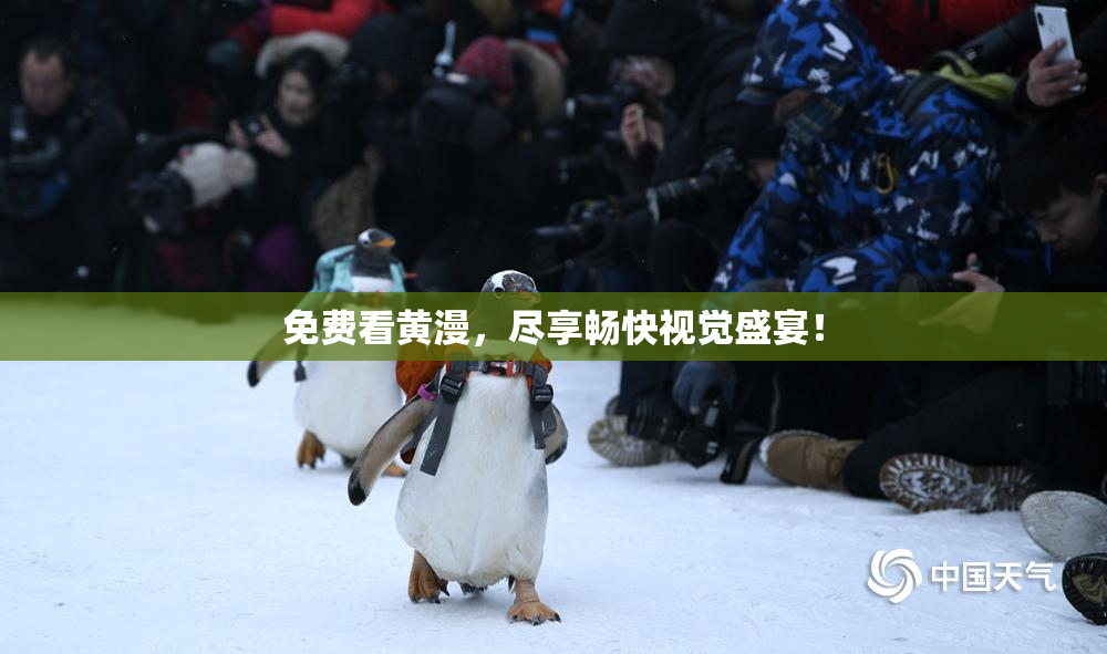 免费看黄漫，尽享畅快视觉盛宴！