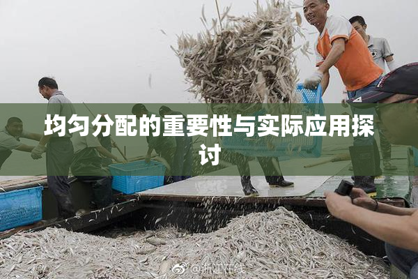 均匀分配的重要性与实际应用探讨