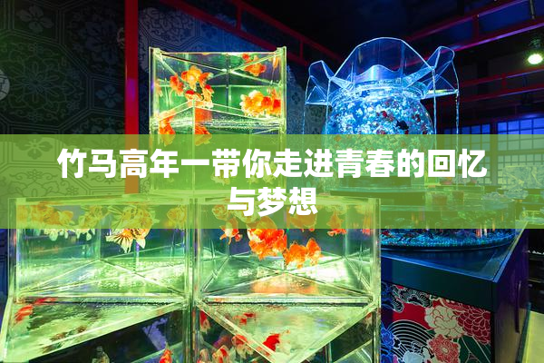 竹马高年一带你走进青春的回忆与梦想