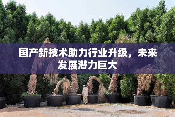 国产新技术助力行业升级，未来发展潜力巨大