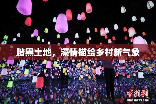 踏黑土地，深情描绘乡村新气象