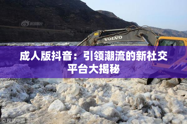成人版抖音：引领潮流的新社交平台大揭秘