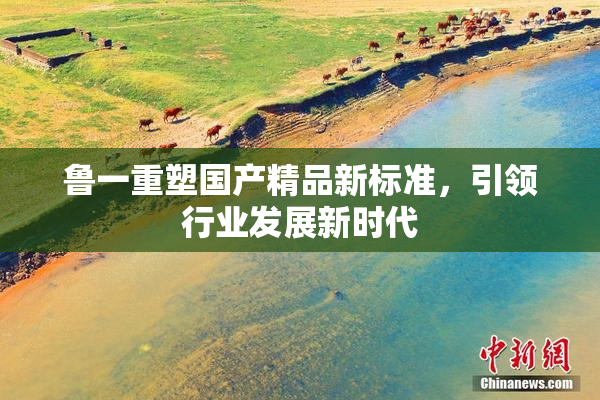 鲁一重塑国产精品新标准，引领行业发展新时代
