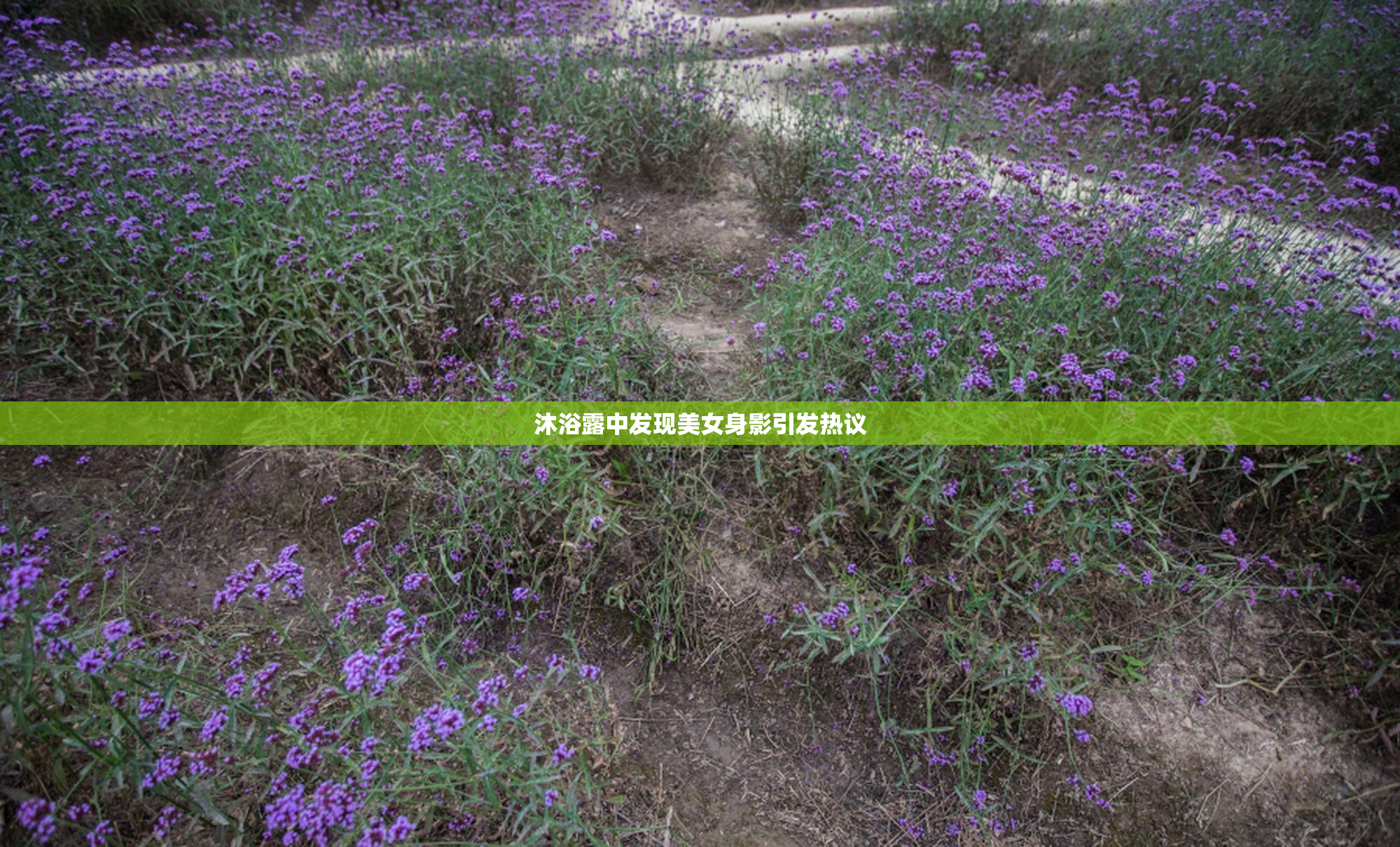 沐浴露中发现美女身影引发热议