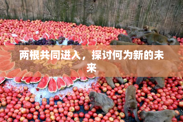 两根共同进入，探讨何为新的未来