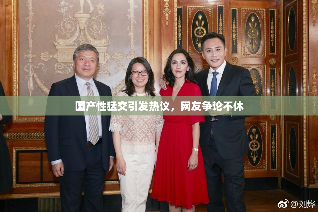 国产性猛交引发热议，网友争论不休