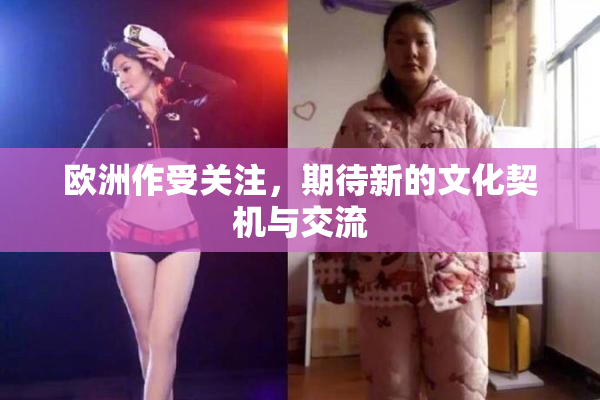 欧洲作受关注，期待新的文化契机与交流