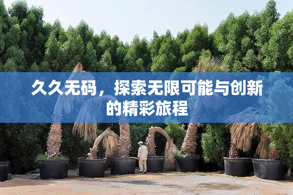久久无码，探索无限可能与创新的精彩旅程